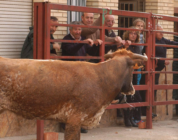 Fiestas de Rincón de Olivedo - Sábado 22 de septiembre