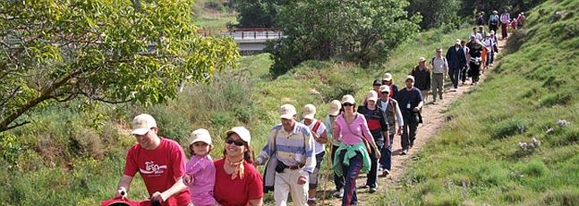 El domingo, 'Paseo Cultural por el Camino Verde' de Cervera